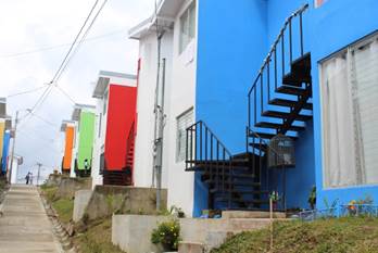 ave del paraíso (20)